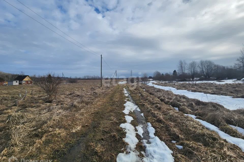 земля р-н Киришский село Посадников Остров фото 7