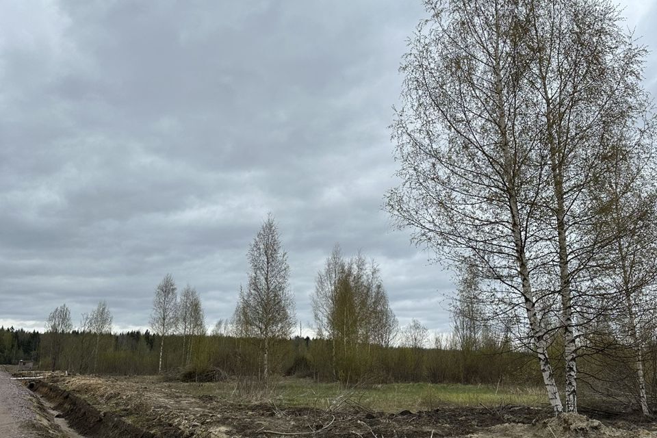 земля р-н Всеволожский г Всеволожск ул Ольги Берггольц фото 7