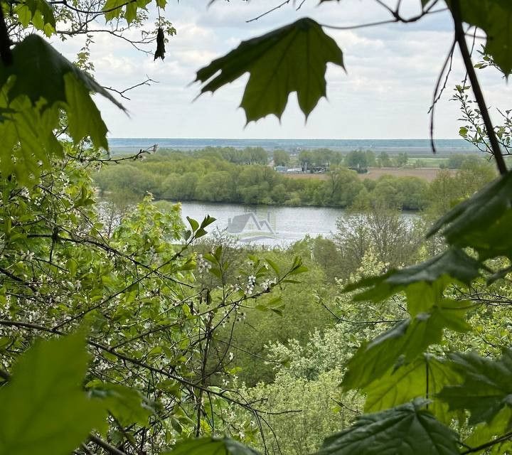 земля городской округ Раменский село Софьино фото 10