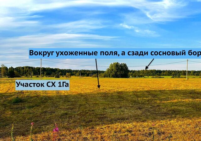 земля Гончаровское сельское поселение, Красносельское фото