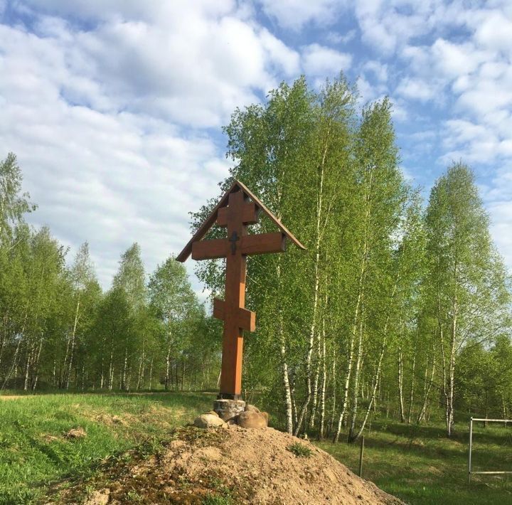 земля р-н Бабынинский д Альшаны Село Бабынино с/пос фото 14