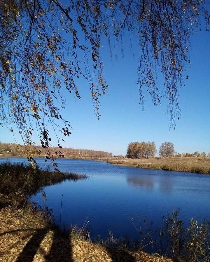 земля р-н Ясногорский г Ясногорск муниципальное образование фото 1