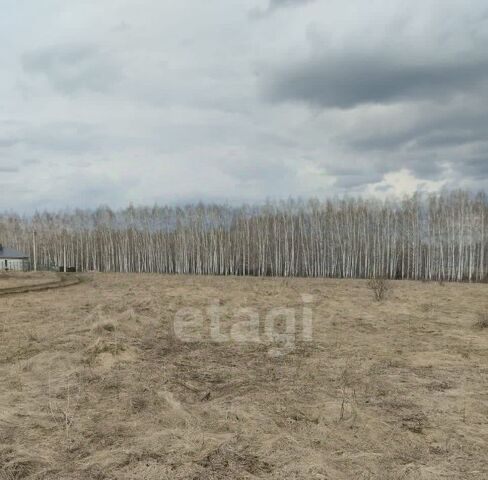 Мичуринский муниципальный округ, с. Заворонежское фото