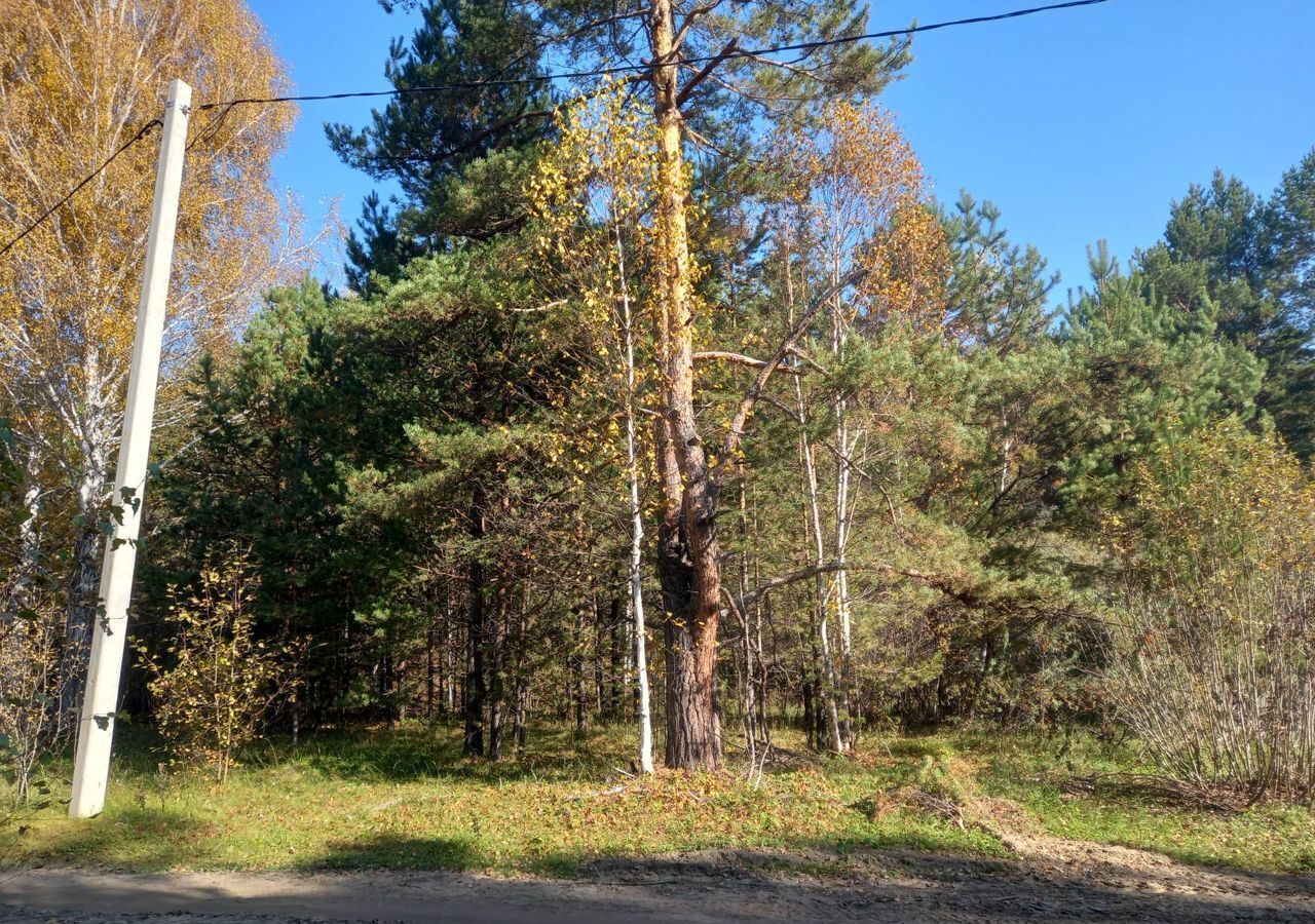 земля р-н Первомайский с Бобровка Барнаул, мкр-н Северный фото 2