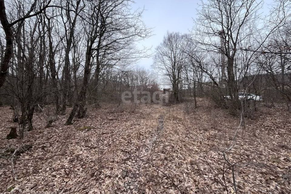 земля городской округ Алушта, посёлок Лаванда фото 4