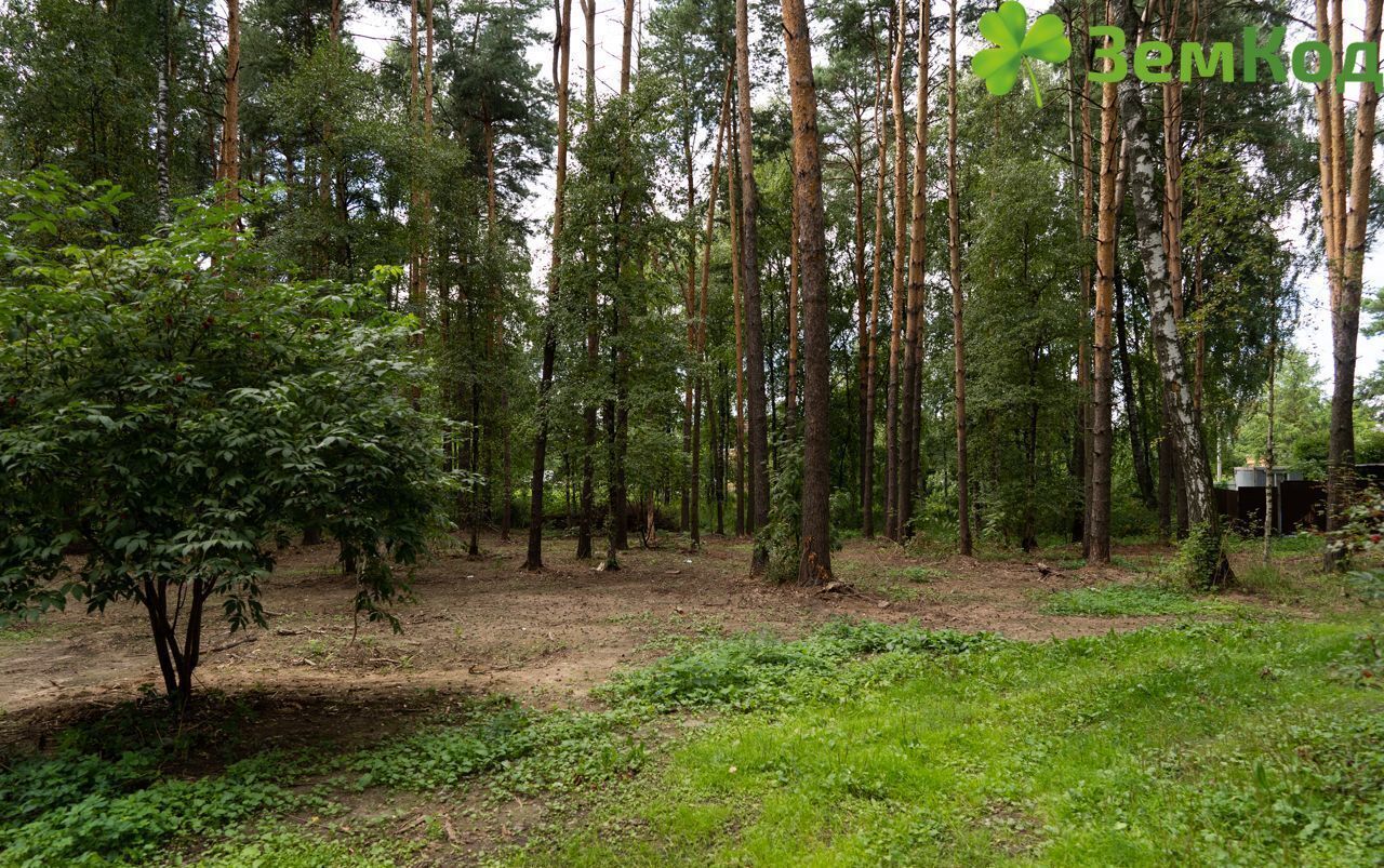 земля городской округ Щёлково д Мишнево ул Садовая 150 Фрязино фото 3