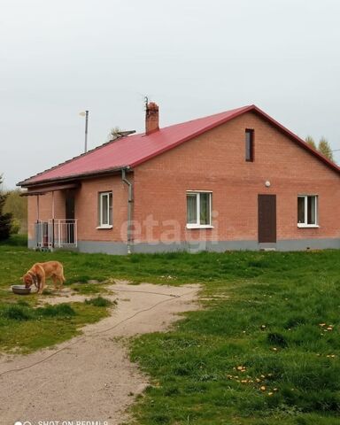 Ладушкин, Багратионовский муниципальный округ фото