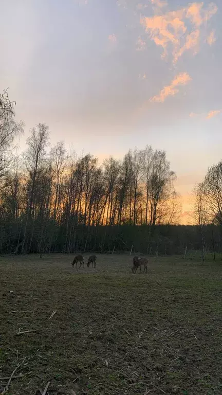 дом г Одинцово тер Тихая Горка территория, 1, Волоколамск фото 31