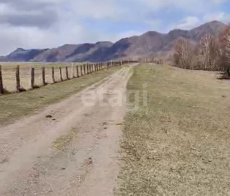 земля р-н Онгудайский село Каракол фото 4