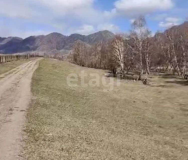 земля р-н Онгудайский село Каракол фото 2