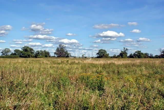 земля р-н Багратионовский посёлок Нивенское фото 3