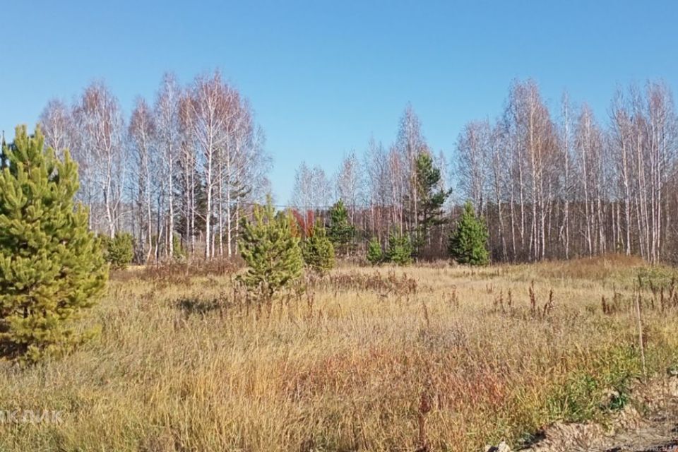 земля г Тюмень городской округ Тюмень, садоводческое некоммерческое товарищество Березняки фото 4