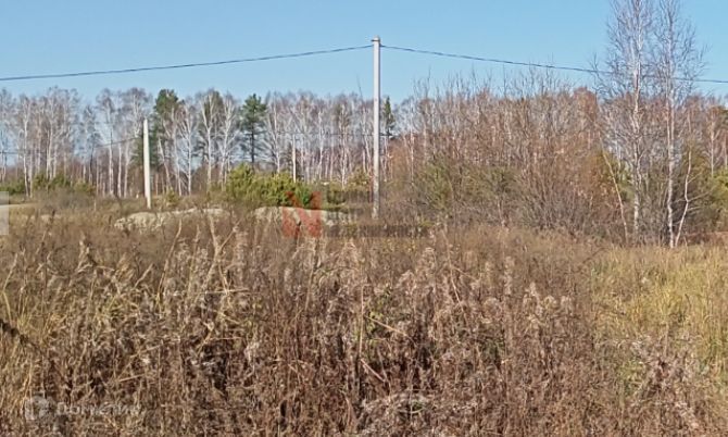 земля г Тюмень городской округ Тюмень, садоводческое некоммерческое товарищество Березняки фото 4