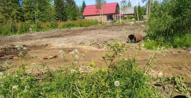 земля Любанское городское поселение, садовое товарищество Щербаков Хутор, 6-я линия фото