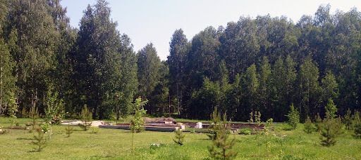 Непряхинское сельское поселение, ДП Непряхинское поместье, Чебаркуль фото