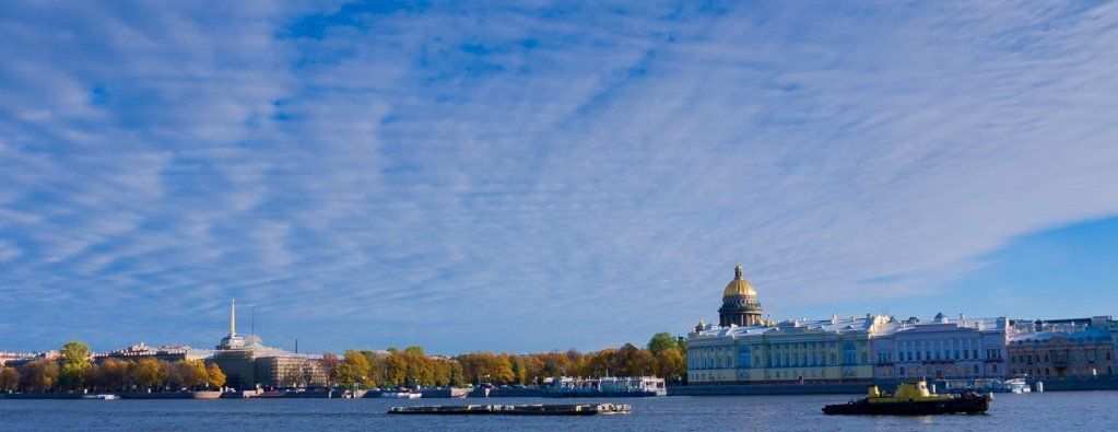 квартира г Санкт-Петербург р-н Василеостровский 11-я Васильевского острова линия, 24 фото 22