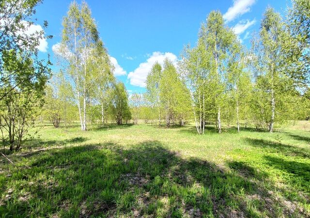 земля ул Казанская Большекургузинское сельское поселение, Осиново фото