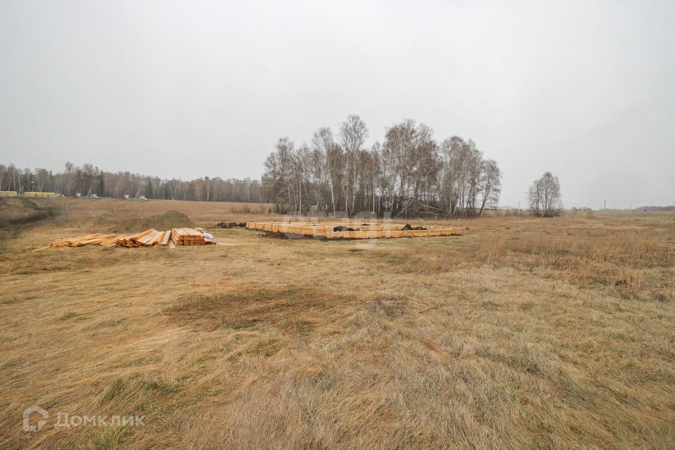 земля р-н Первомайский с Фирсово Кедровая улица, 2А фото 1