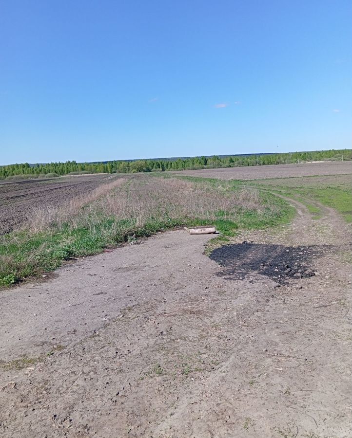 земля р-н Арзамасский с Водоватово ул Советская Арзамас фото 1