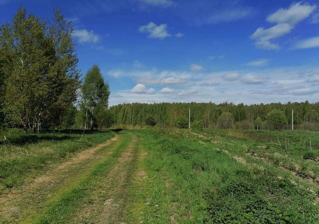 д Акулово муниципальное образование Кипревское, Киржач фото