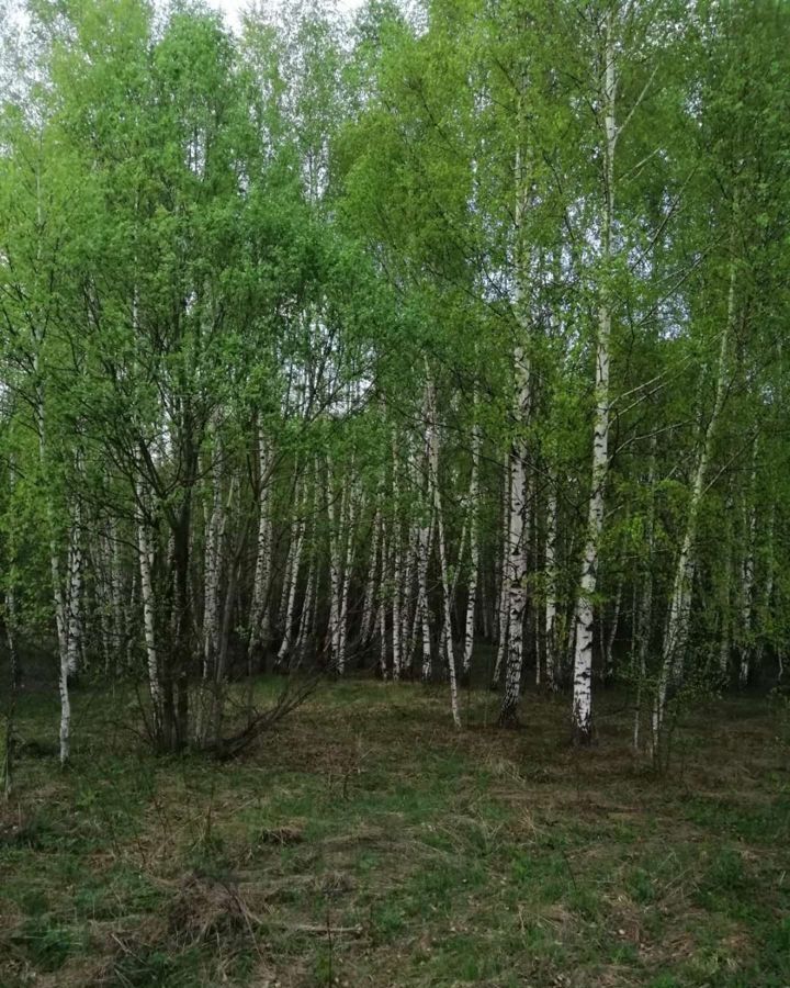 земля р-н Заокский с Симоново Новогуровский фото 2