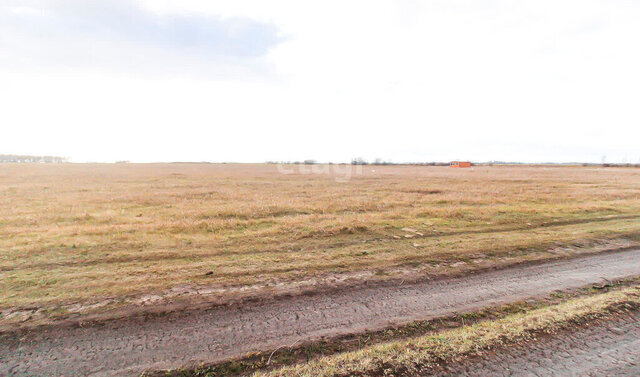 земля территория Ирбитский Тракт, Слева от Дороги, 3-й километр от Рощинского Кольца фото