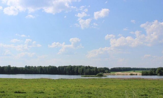 земля д Дресвищи Ивановская область, Пучеж фото