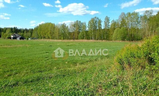 земля п Рощино пер Круговой Рощинское городское поселение, городской пос. Рощино фото