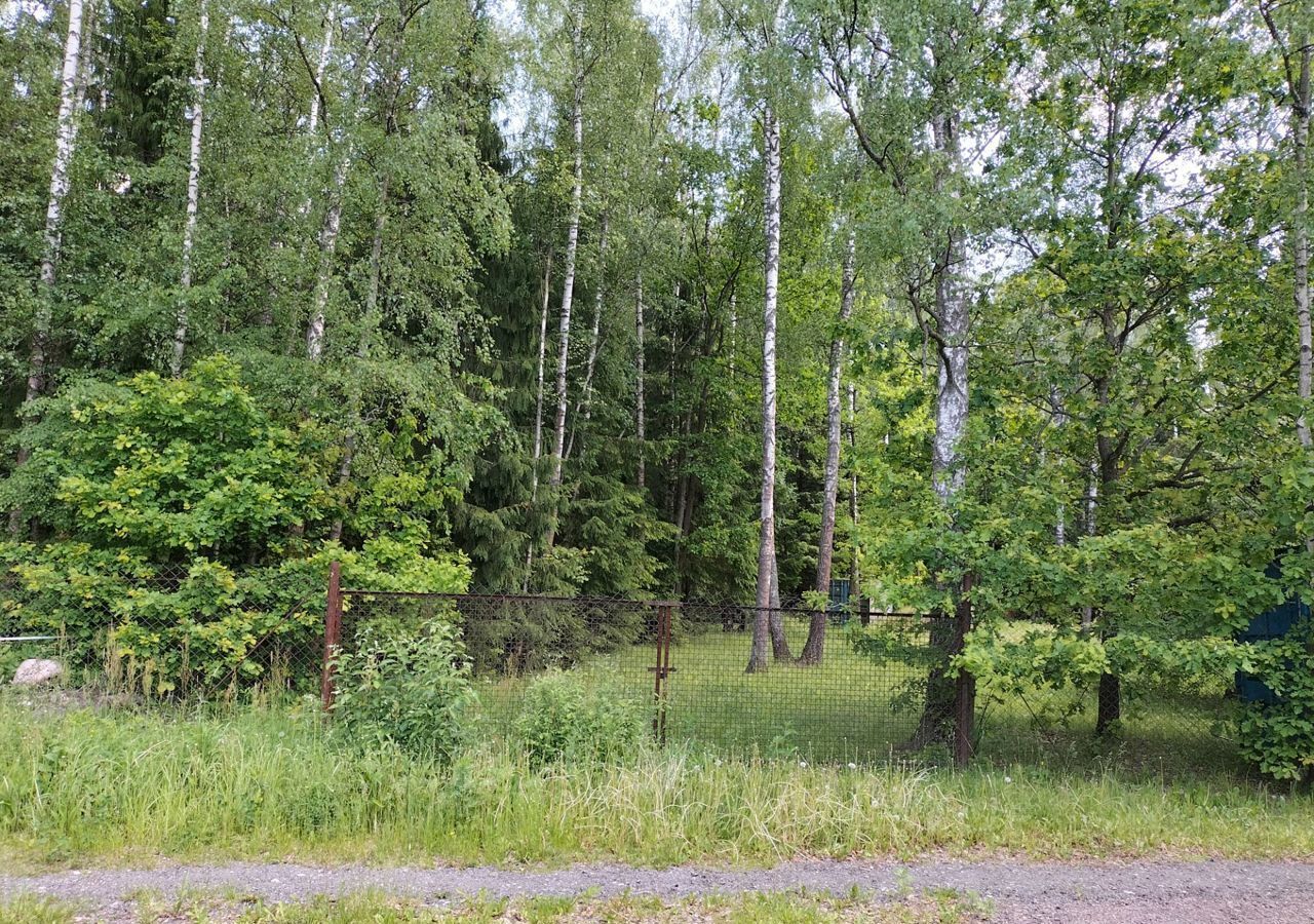 земля городской округ Чехов д Васькино снт Боровик Чехов фото 26