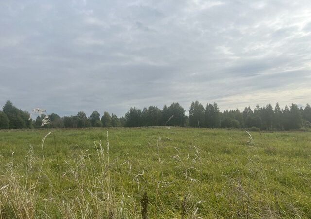 земля Красноозёрное сельское поселение, Коробицыно фото