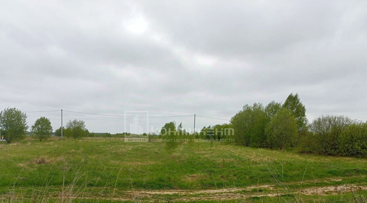 земля р-н Собинский д Курилово ул Молодежная фото 2