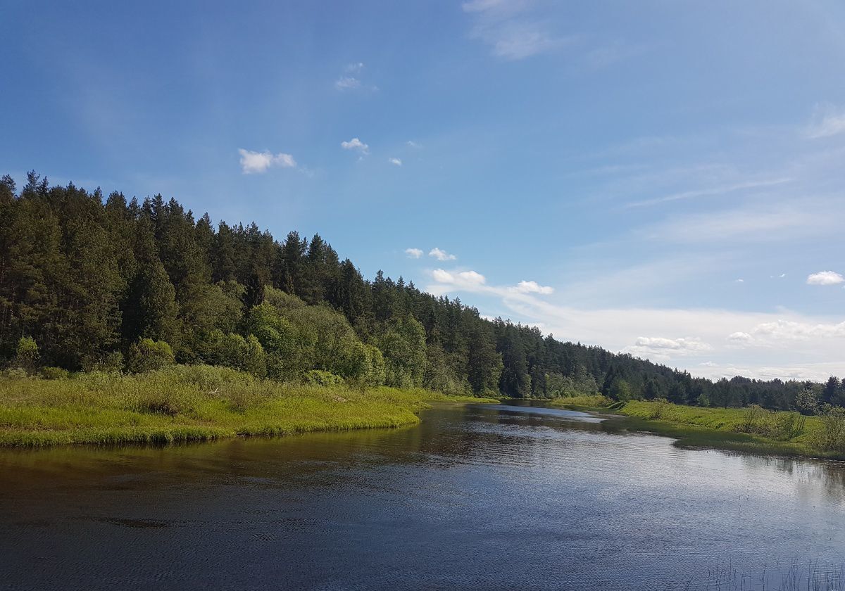 земля р-н Рамешковский с/п Высоково д Вересково Рамешки фото 1