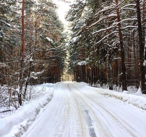 садовое товарищество Лира-С, Красногорск фото