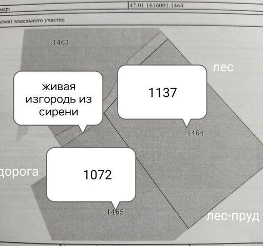 земля Полянское сельское поселение, Санкт-Петербург фото