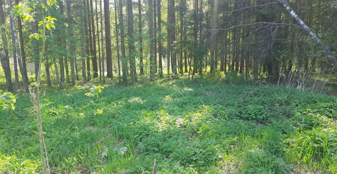 земля городской округ Волоколамский п Вороновское, Волоколамск, коттеджный пос. Мартово фото 15