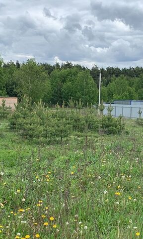 городской округ Раменский коттеджный пос. Дергаево-2, Раменское фото