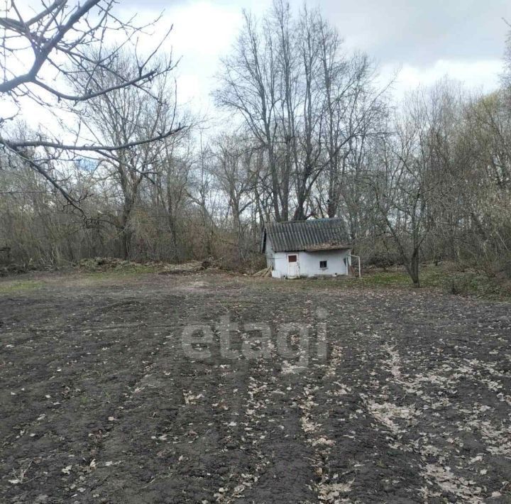 дом р-н Кочкуровский д Воробьевка ул Нагорная фото 6