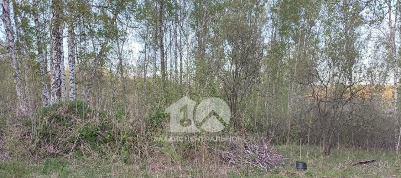 земля г Новосибирск Золотая Нива снт Ветеран ул Бугринская фото 3