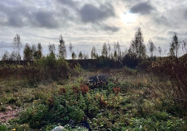 земля ул Волжская 13 Тихвинское городское поселение, д. Фишёва Гора фото