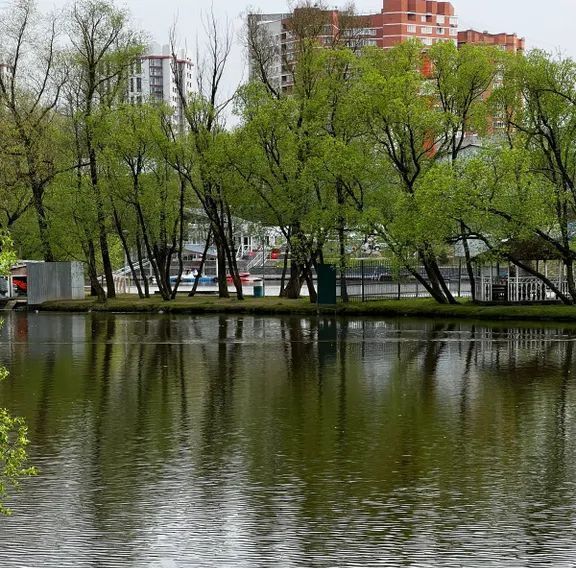 квартира г Москва ТиНАО Троицк ул Приречная 17 фото 13