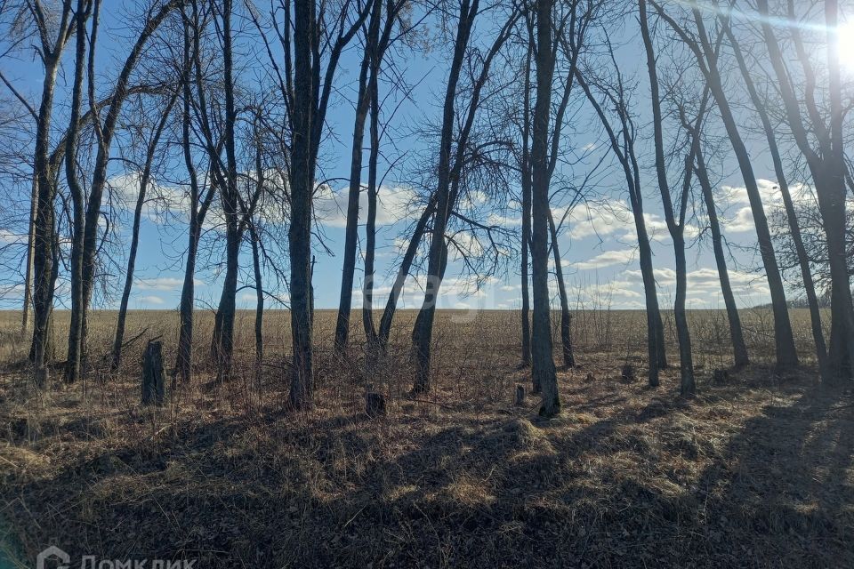 земля р-н Белгородский СТ Энергия фото 4