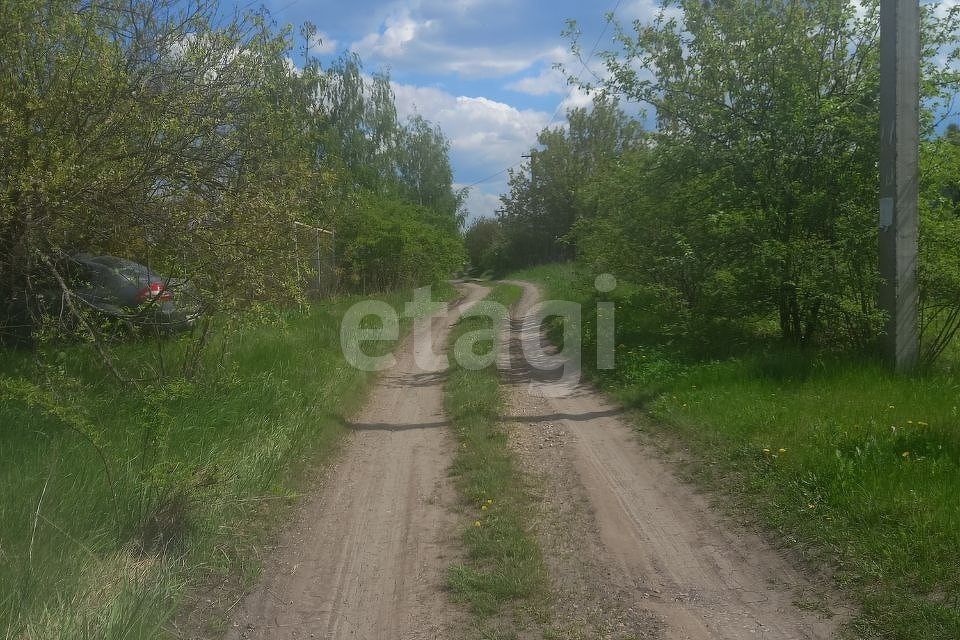 земля р-н Рамонский снт Ямань ул Солнечная фото 5