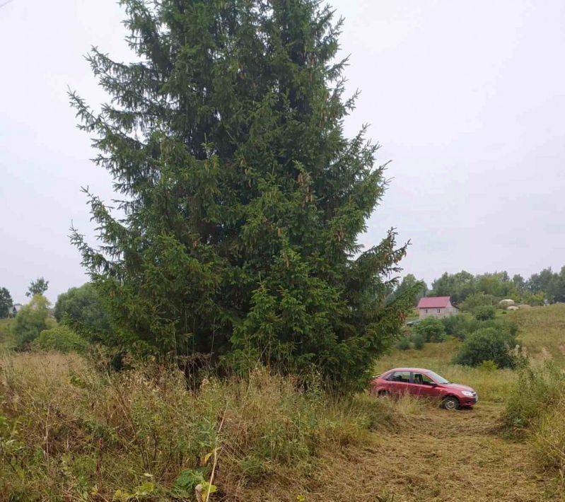 дом р-н Юрьев-Польский д Тартышево Небыловское муниципальное образование фото 5