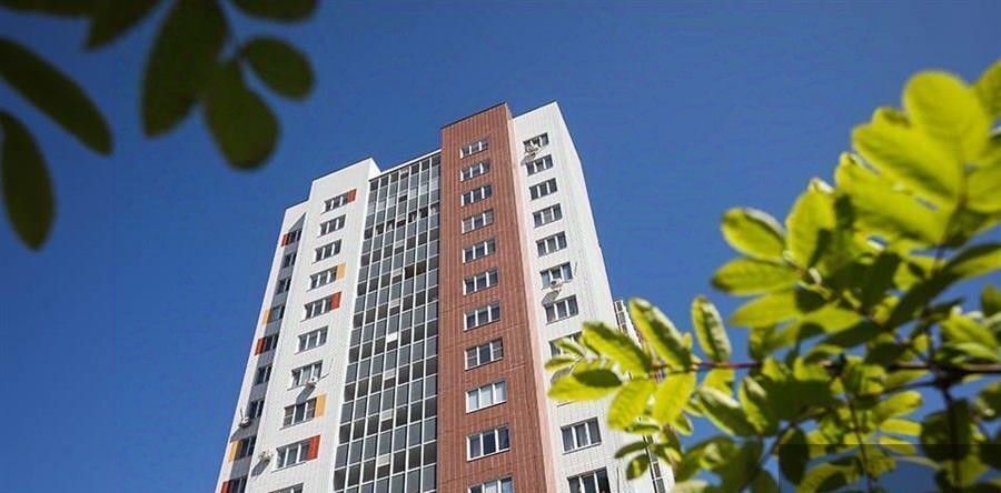 квартира р-н Новоусманский п Отрадное б-р 70 лет Победы 5 фото 5