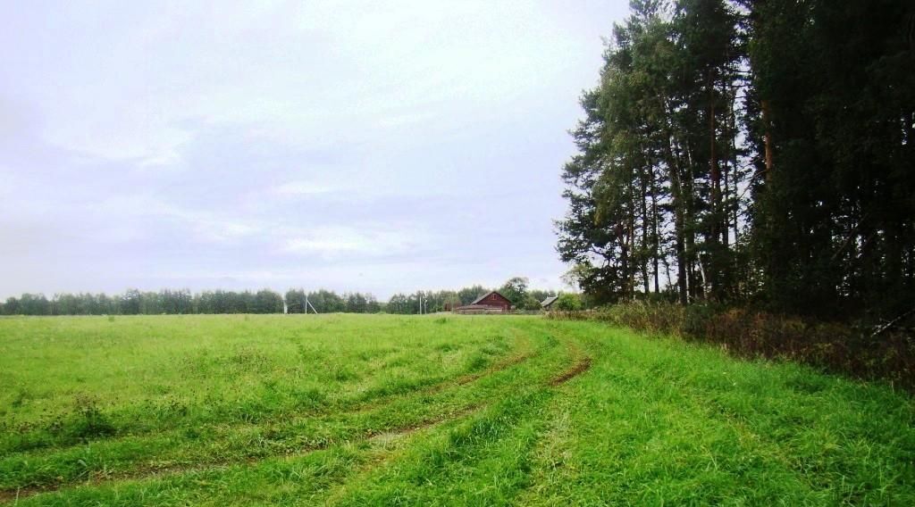 земля р-н Киржачский д Артемьево Горкинское муниципальное образование фото 15