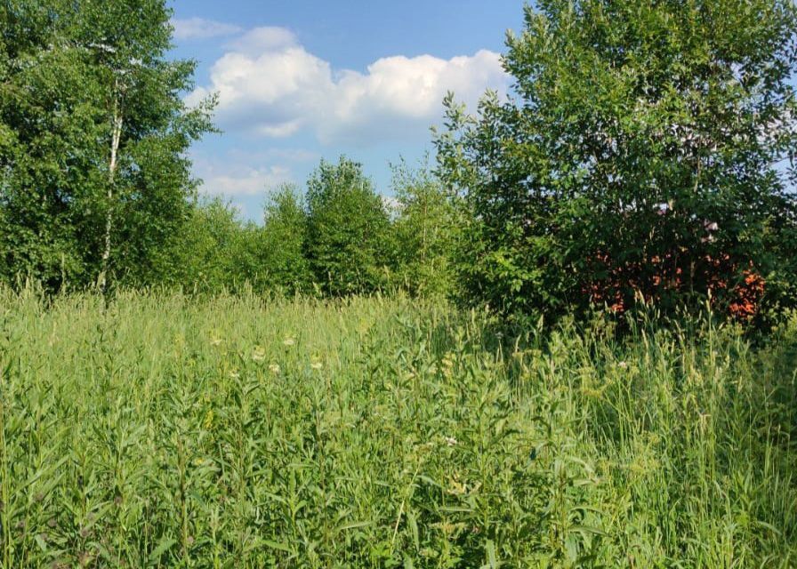 земля городской округ Ступино д Гридюкино снт терКарусель Лесная улица фото 1