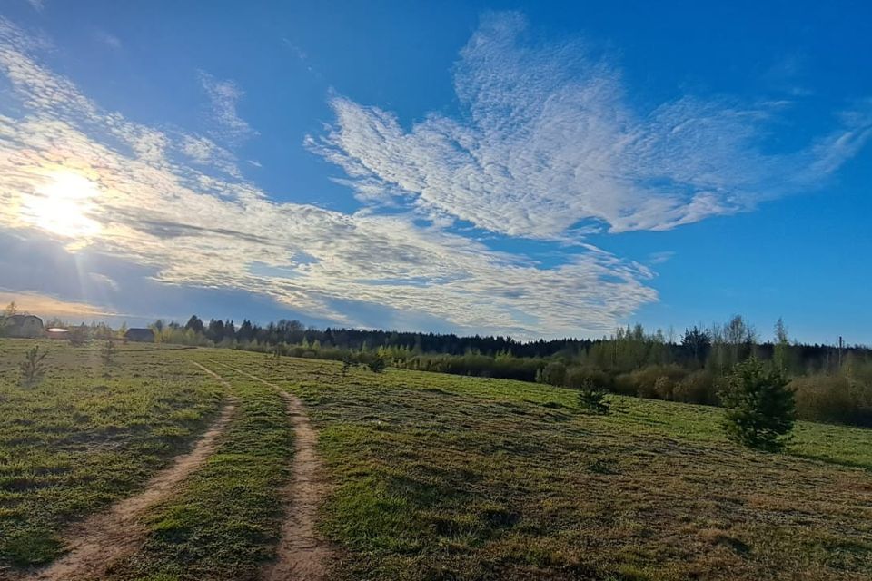 земля р-н Тихвинский деревня Фишёва Гора фото 1