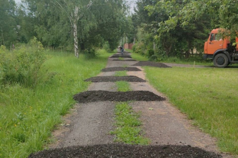 земля городской округ Ступино д Гридюкино снт терКарусель Лесная улица фото 2