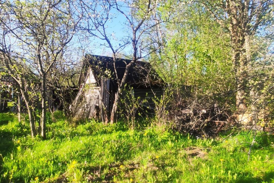 дом р-н Лужский п Мшинская садоводческое некоммерческое товарищество Солнечное фото 7