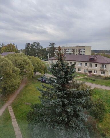 Скребловское сельское поселение, 4, Луга фото